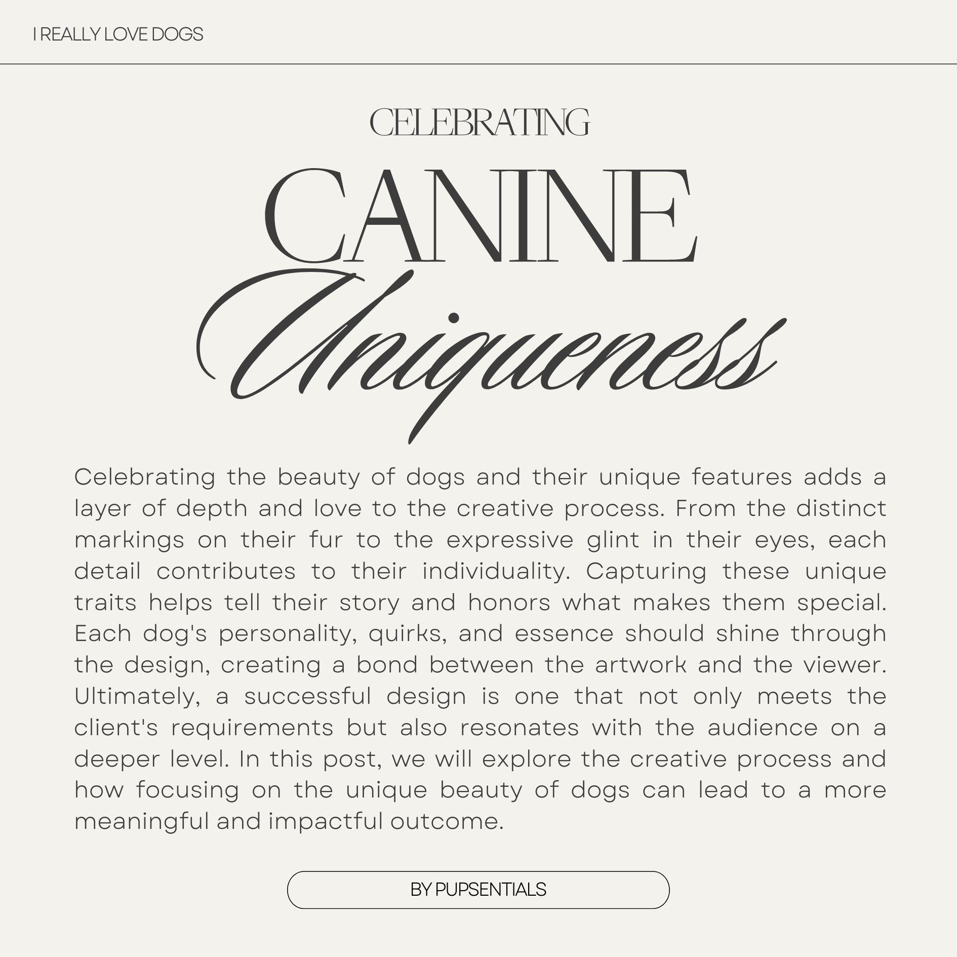 "I Really Love Dogs v.IV" Coffee Table Book