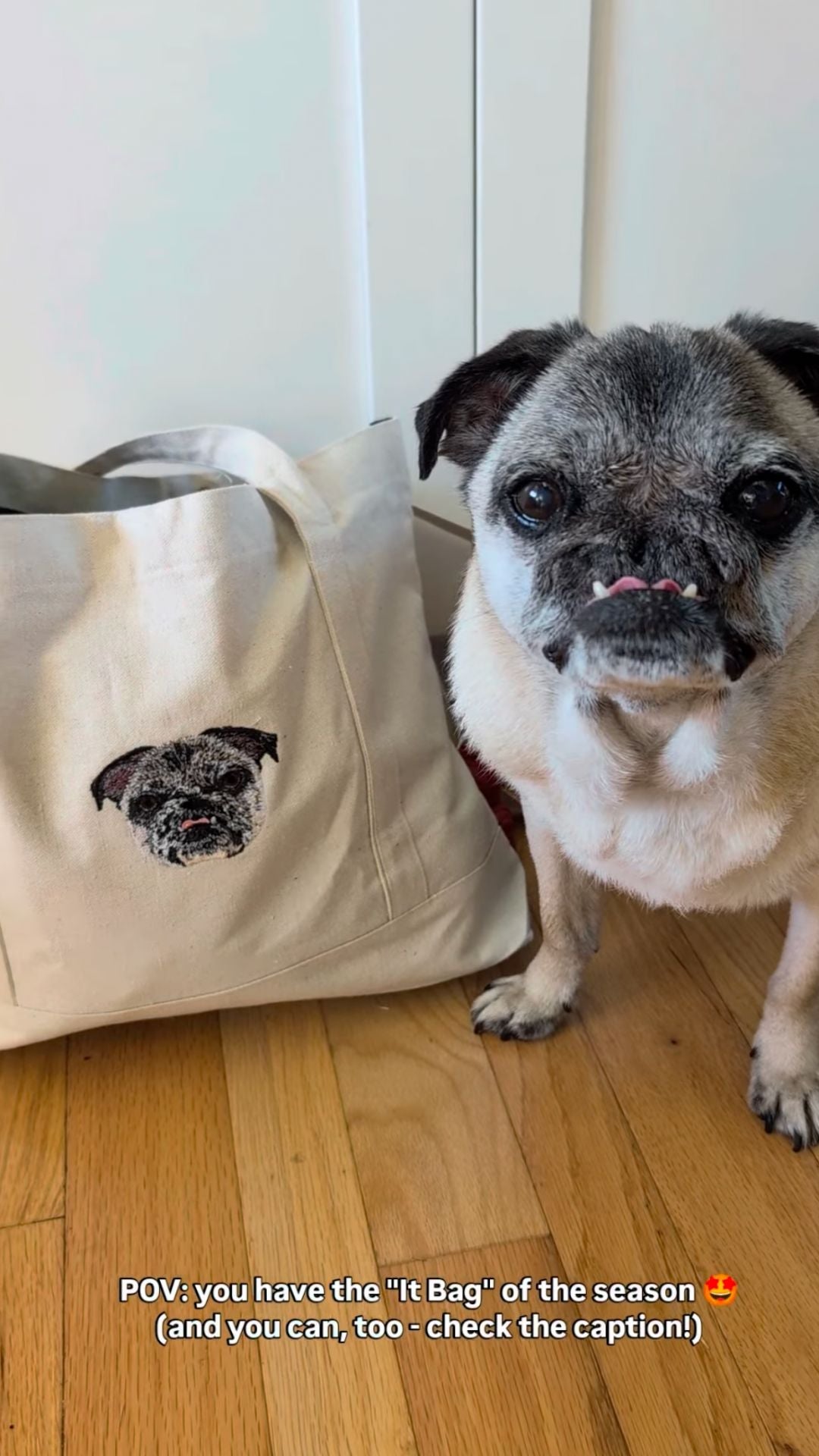 The Carry-All Canvas Tote