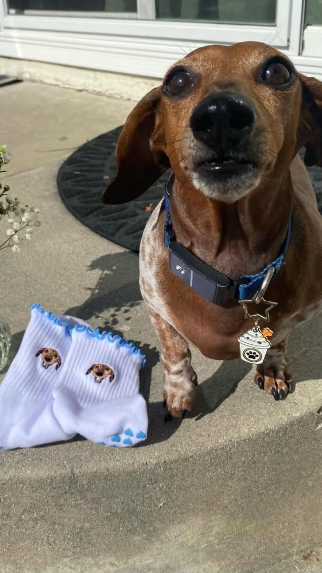 The Custom Socks
