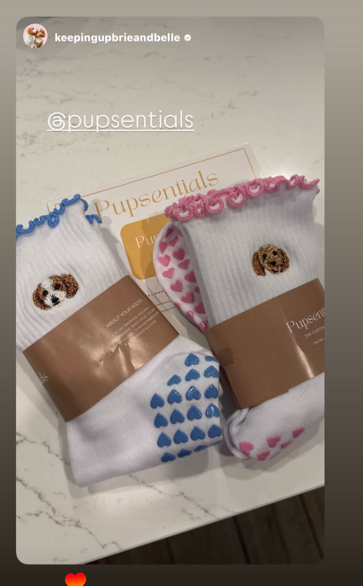 The Custom Socks - Custom Pet Embroidered Socks PUPSENTIALS The Custom Socks - Custom Pet Embroidered Socks PUPSENTIALS