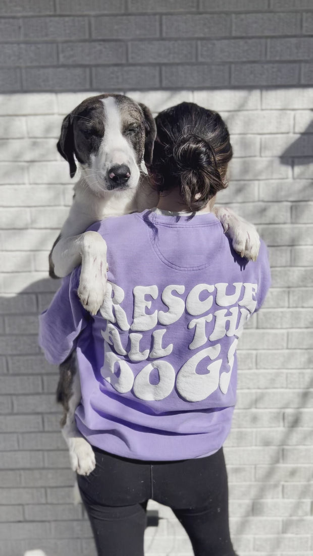 Rescue Pup Keychain & Purse Accessory- Deal!